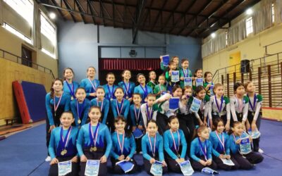 La Gimnasia Artística se destac