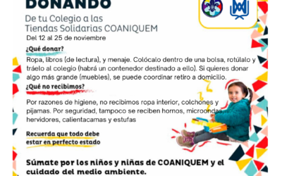 Campañas Solidarias… Cepa, Pastoral Familiar, Scout, Cacma y Propuesta Evangelizadora.