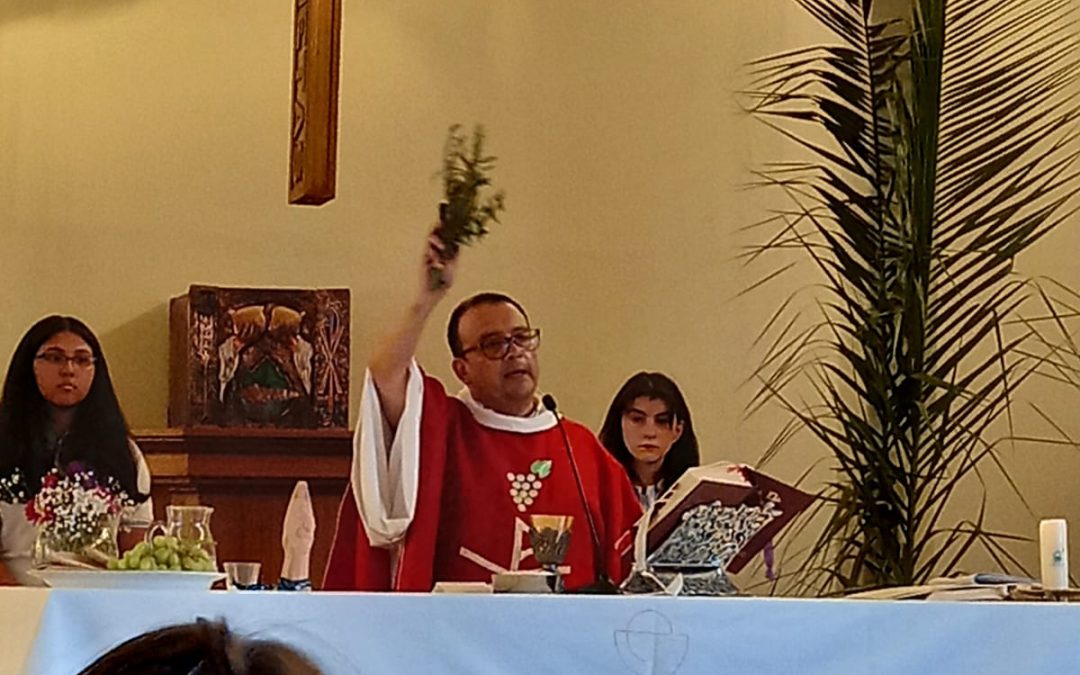 Celebración del Domingo de Ramos