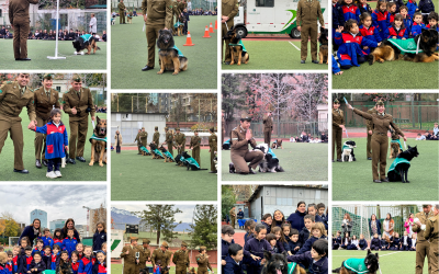 Brigada Canina de Carabineros de Chile Visita Nuestro Colegio