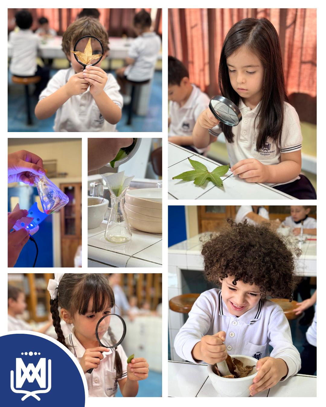 Pequeños Científicos en Acción