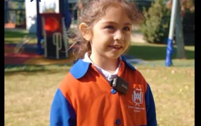 ¿Qué es lo que más te gusta estudiar?