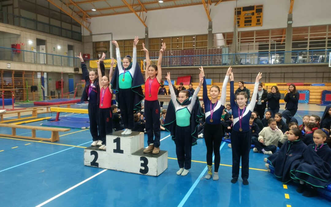 Destacada participación en competencia de gimnasia – Nivel 3