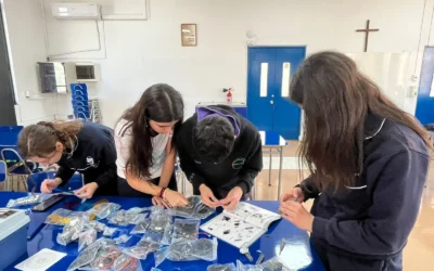 Pensamiento Computacional y Programación en III° y IV° Medio