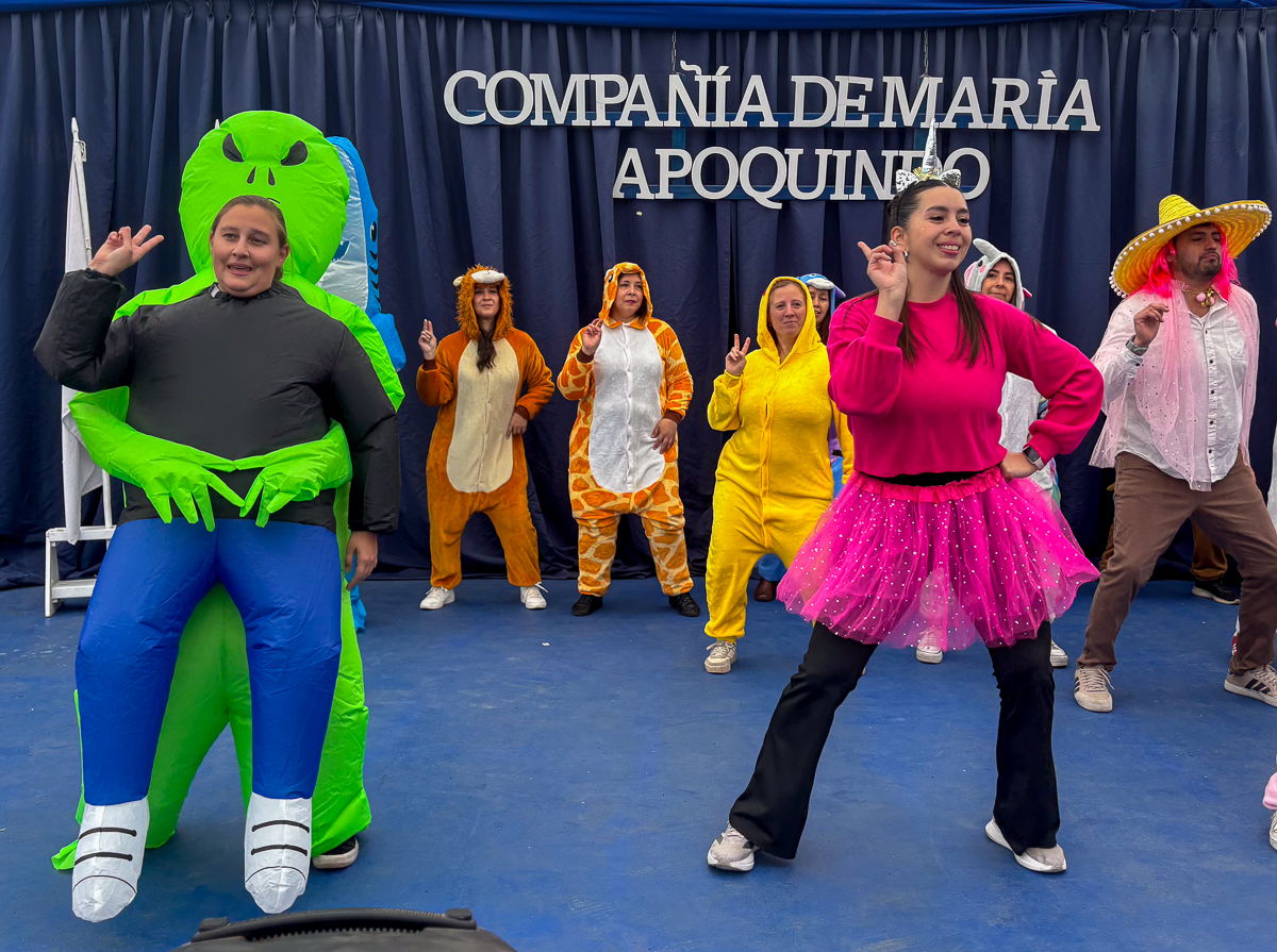 Shows profesores (8 de 21)