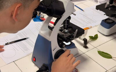 Rigor científico y aprendizaje práctico en nuestro laboratorio